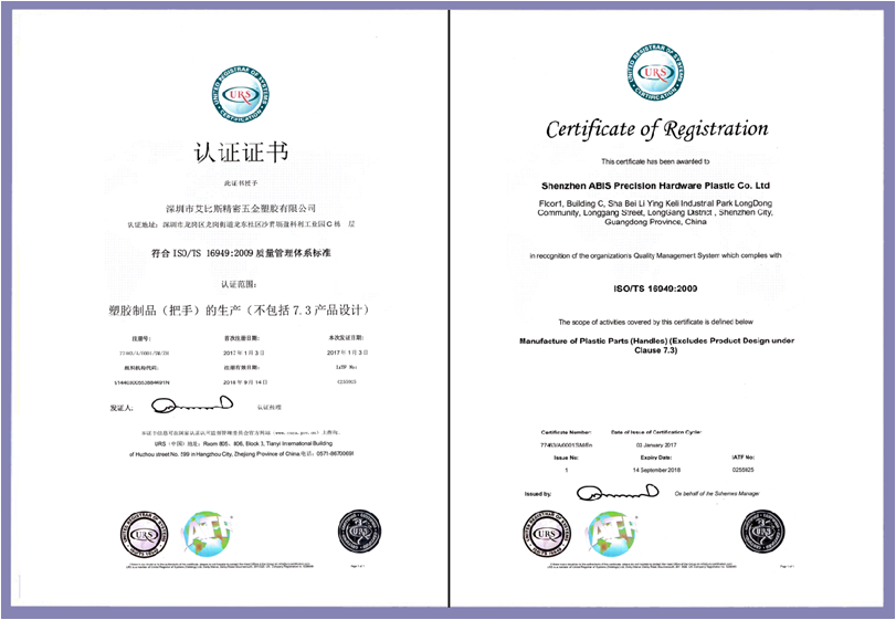 certificato 2.png