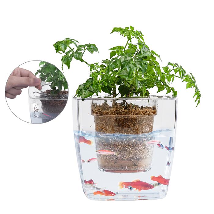 Vaso da fiori in plastica per ufficio con acquario